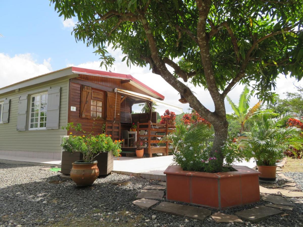 Bungalow Des Paletuviers Morne-a-l'Eau 外观 照片